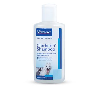 CLORHEXIN SHAMPOO X 240 ML