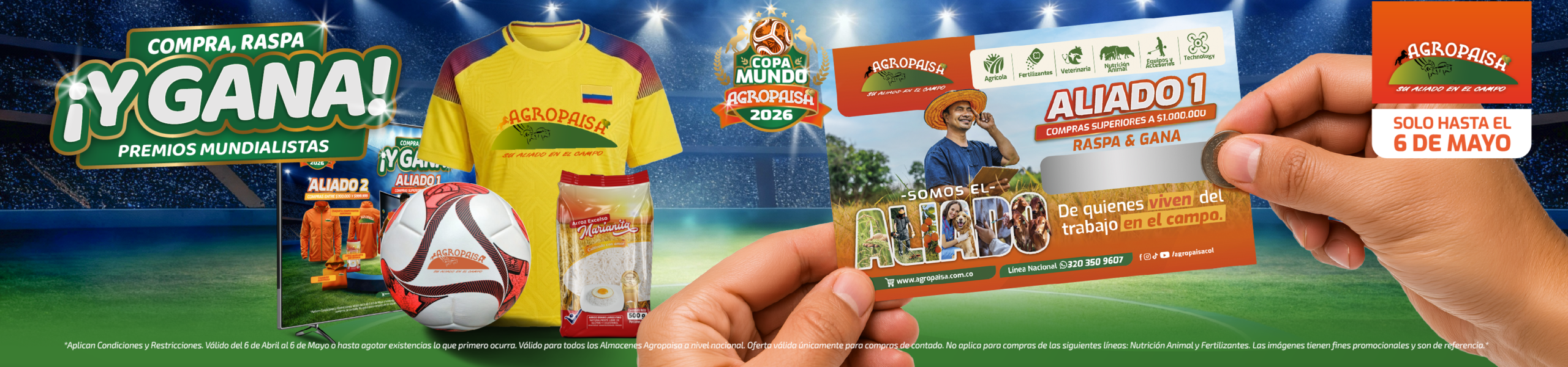 Mesa de trabajo 1 15