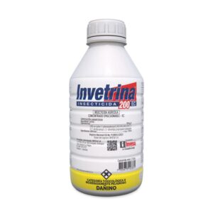 INVETRINA X GAL