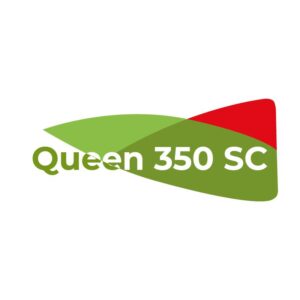 QUEEN 350 SC X LT