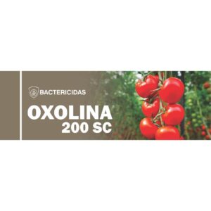 OXOLINA X LT