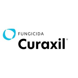 CURAXIL X 500 GR