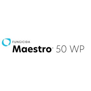 MAESTRO X 500 GR