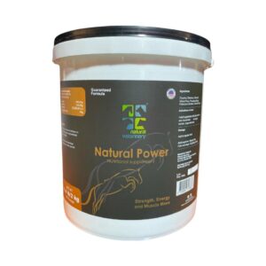 NATURAL POWER X 2 KG