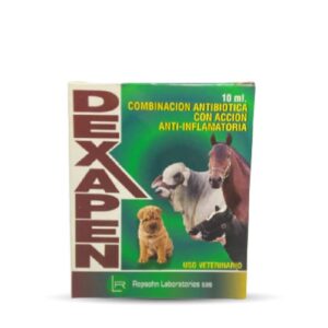 DEXAPEN INY X 10 ML