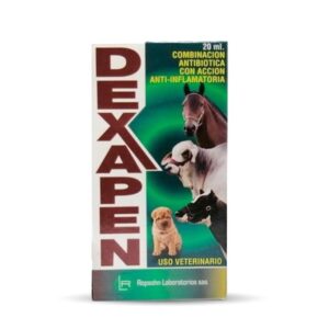DEXAPEN INY X 20 ML
